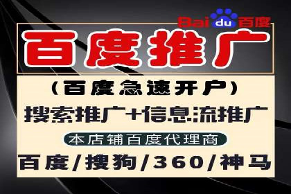 SEM主管案例分析：优化策略